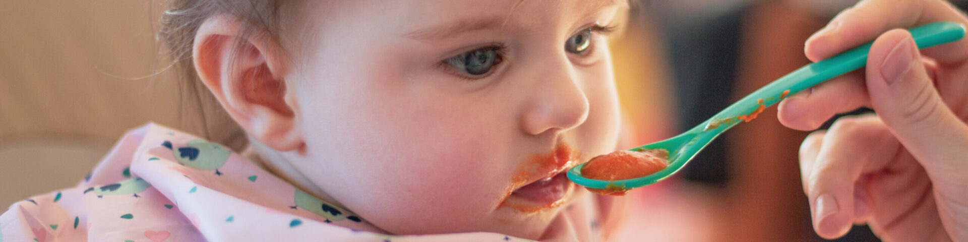 Portail Famille Crèches