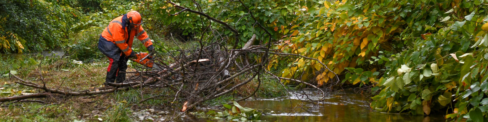 Entretien des rivières