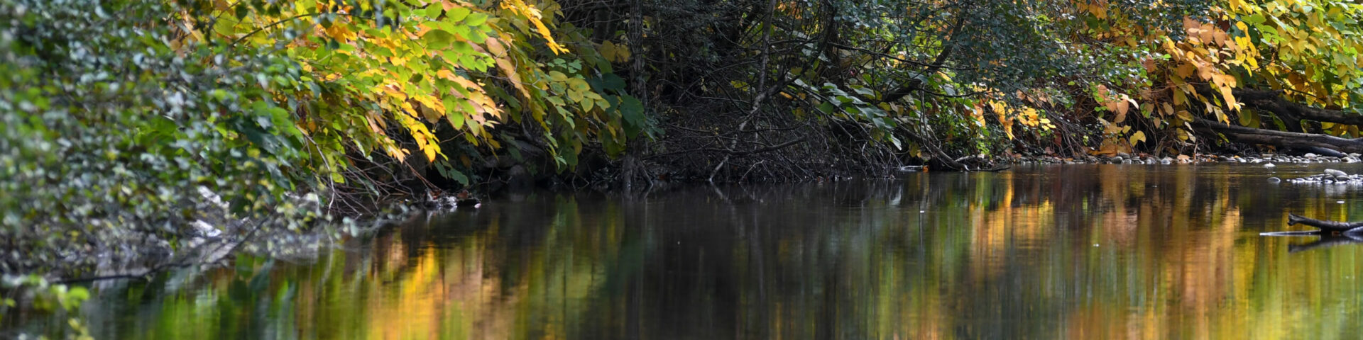 Eau, assainissement & rivières