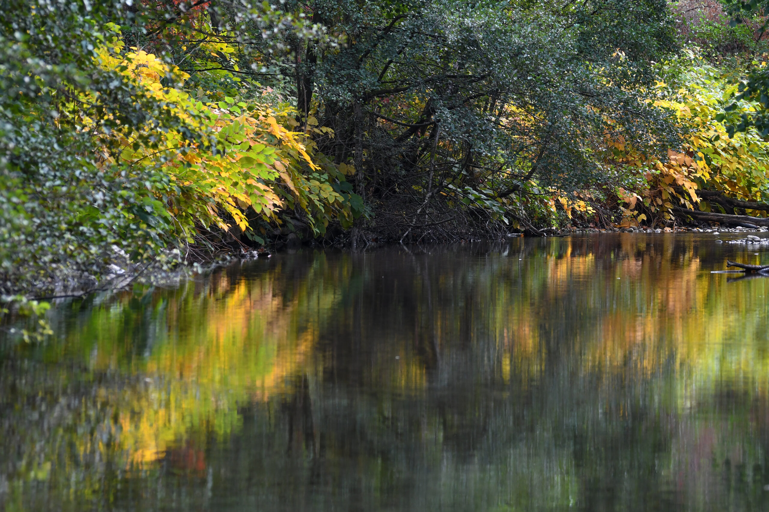 Rivière Galaure
