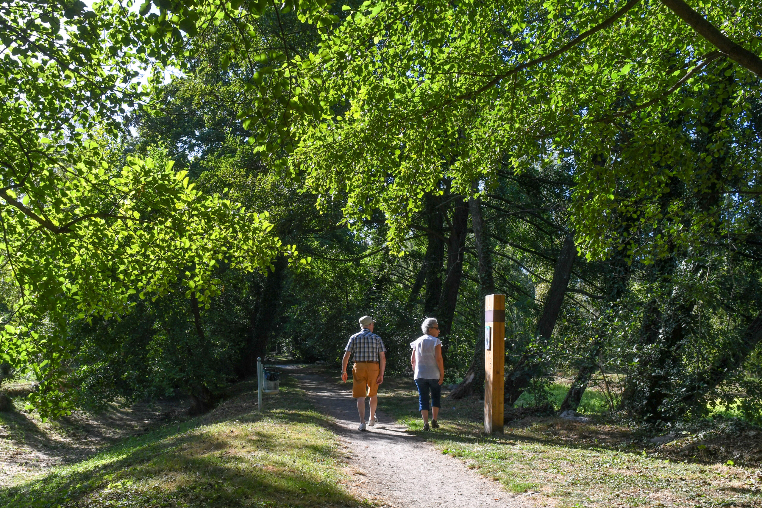 Parc des sources Manthes biodiversité et végétalisation