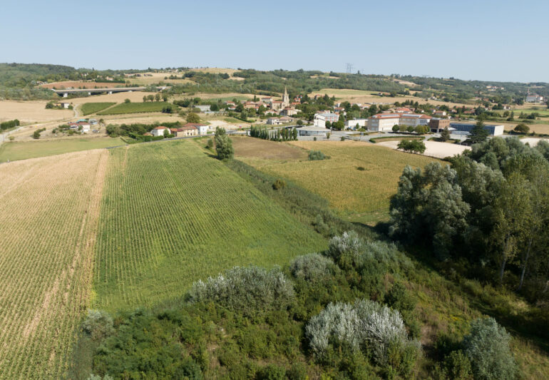 Plantation de haies